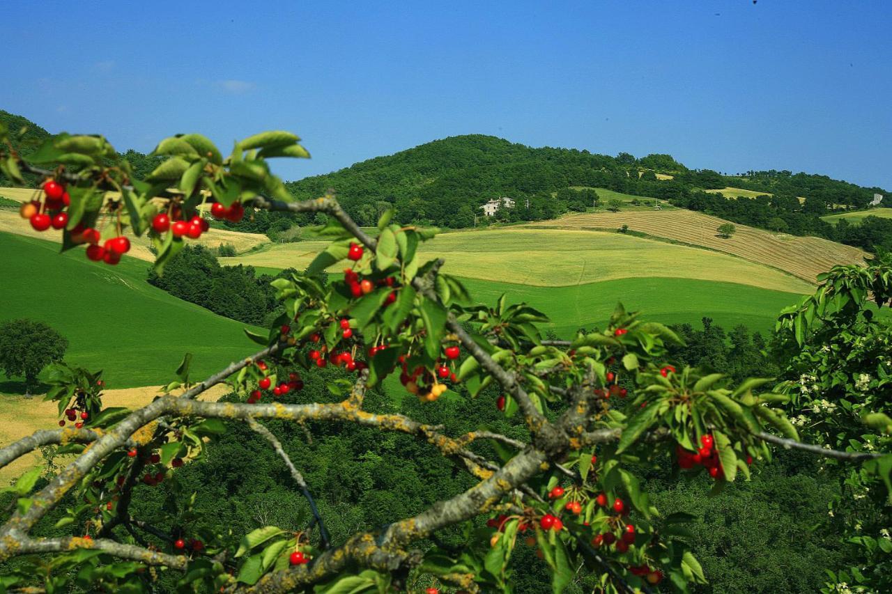 Agriturismo Il Fienile Di Ca Battista Cagli Exterior foto